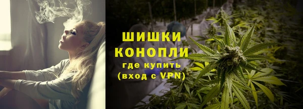 гашик Арсеньев