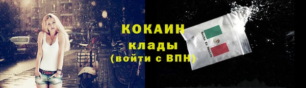гашик Арсеньев