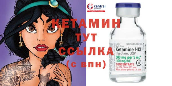 гашик Арсеньев